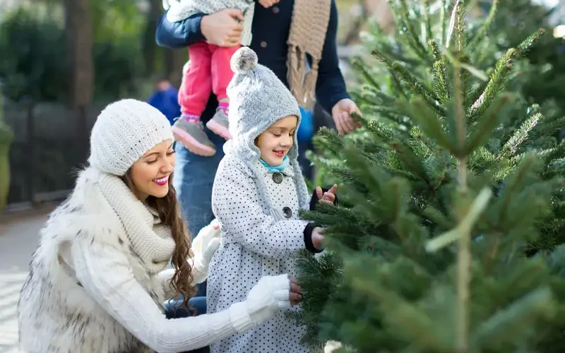 Famille qui choisit son sapin de Noël