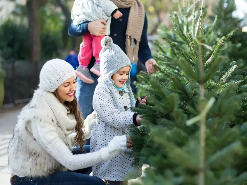 Famille qui choisit son sapin de Noël