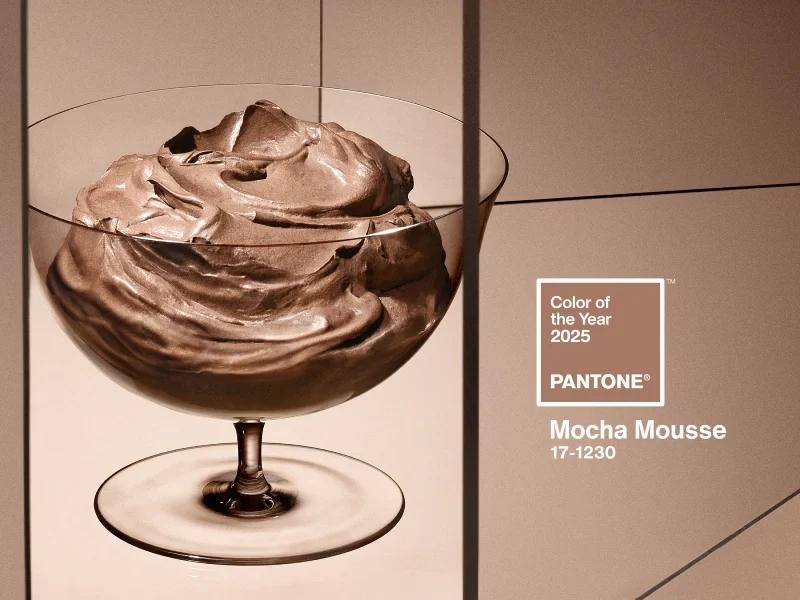 Couleur pantone 2025 Mocha Mousse